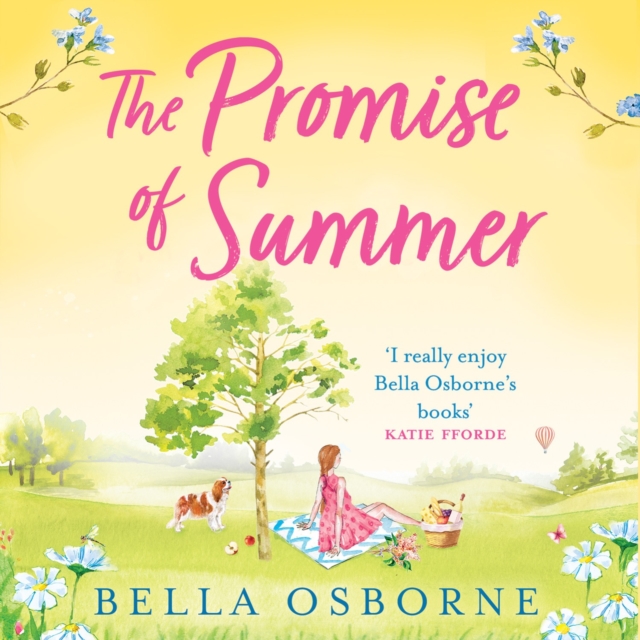 The Promise of Summer, eAudiobook MP3 eaudioBook