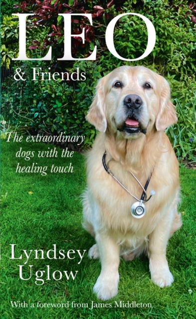 Leo & Friends : The Dogs with a Healing Touch, Paperback / softback Book