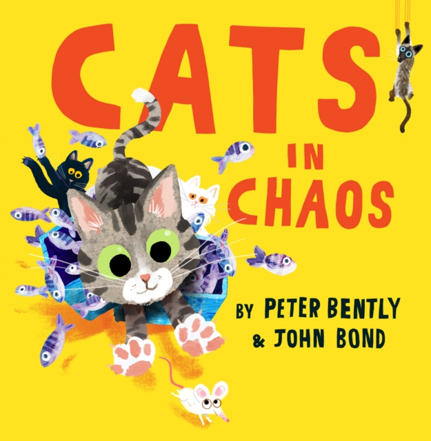 Cats in Chaos, Paperback / softback Book