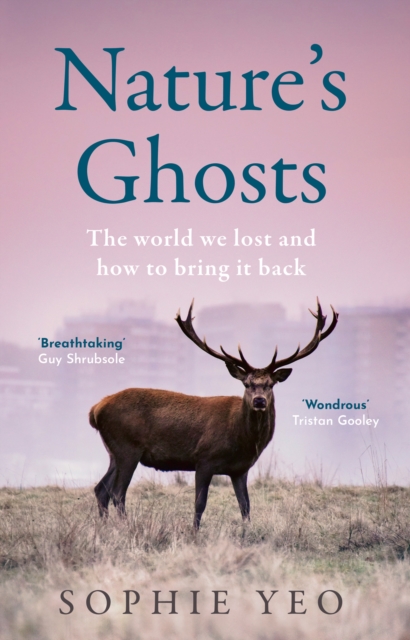 Nature’s Ghosts : The World We Lost and How to Bring it Back, Hardback Book