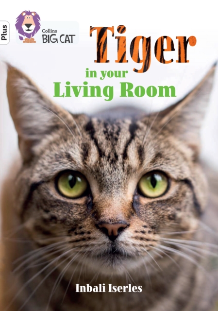 Tiger in Your Living Room : Band 10+/White Plus, Paperback / softback Book