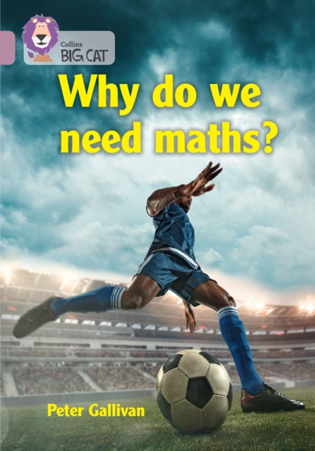 Why do we need maths? : Band 18/Pearl, Paperback / softback Book