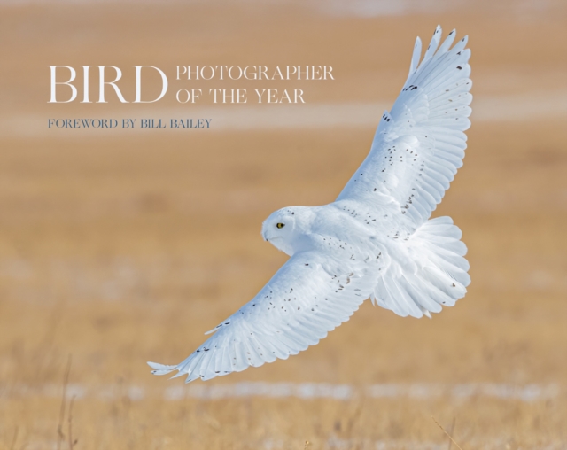 Bird Photographer of the Year : Collection 6, Hardback Book