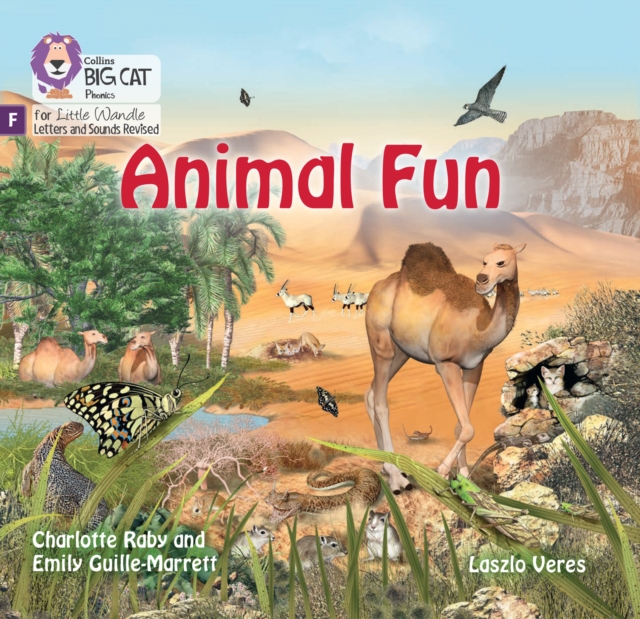 Animal Fun : Foundations for Phonics, Paperback / softback Book