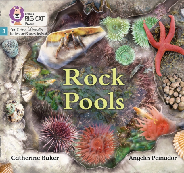 Rock Pools : Phase 3 Set 1, Paperback / softback Book