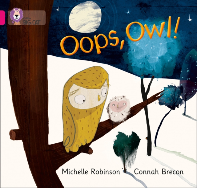 Oops, Owl!, Paperback Book