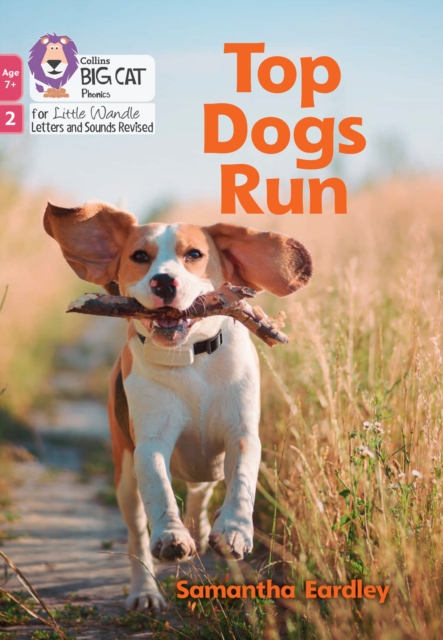 Top Dogs Run : Phase 2 Set 4, Paperback / softback Book