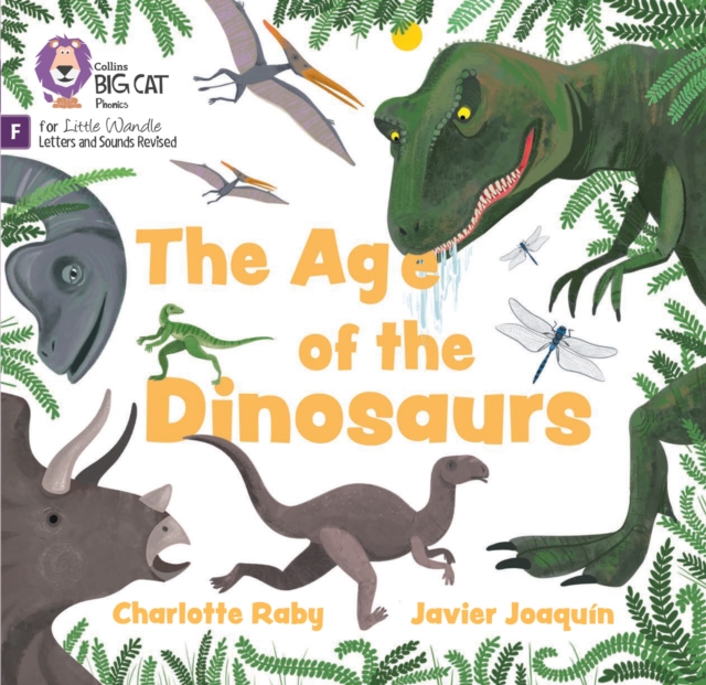 The Age of Dinosaurs : Foundations for Phonics, Paperback / softback Book