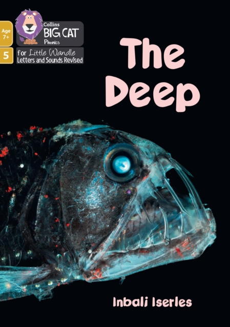 The Deep : Phase 5 Set 4, Paperback / softback Book