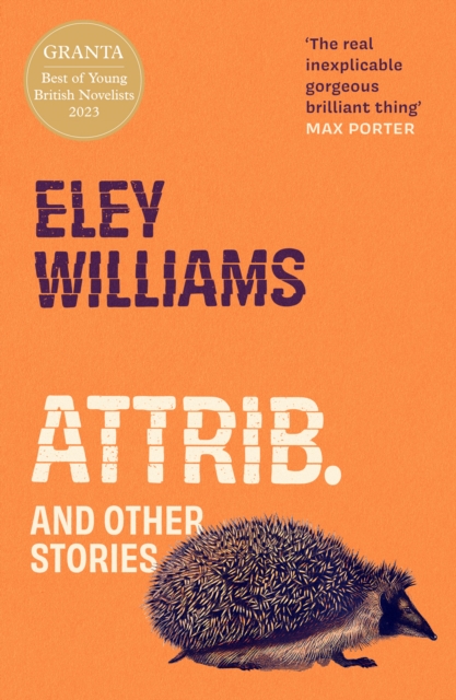 Attrib. : And Other Stories, Paperback / softback Book