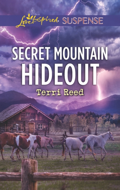 Secret Mountain Hideout, EPUB eBook