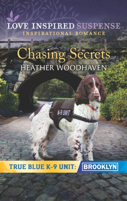 Chasing Secrets, EPUB eBook