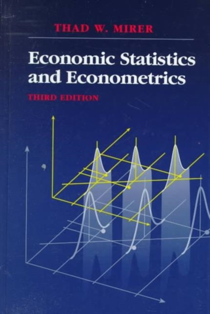 Economic Statistics and Econometrics, Paperback / softback Book