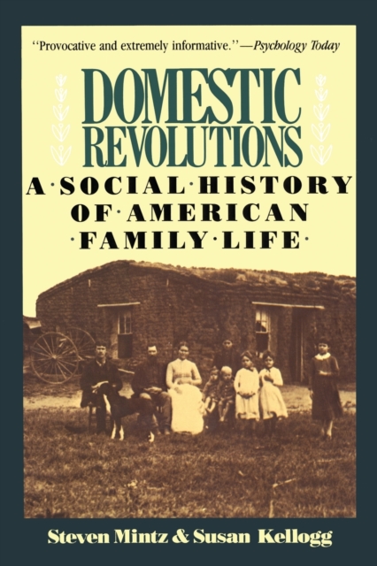 Domestic Revolutions : A Social History Of American Family Life, Paperback / softback Book