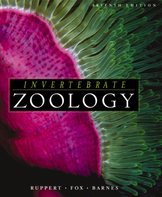 Invertebrate Zoology : A Functional Evolutionary Approach, Hardback Book