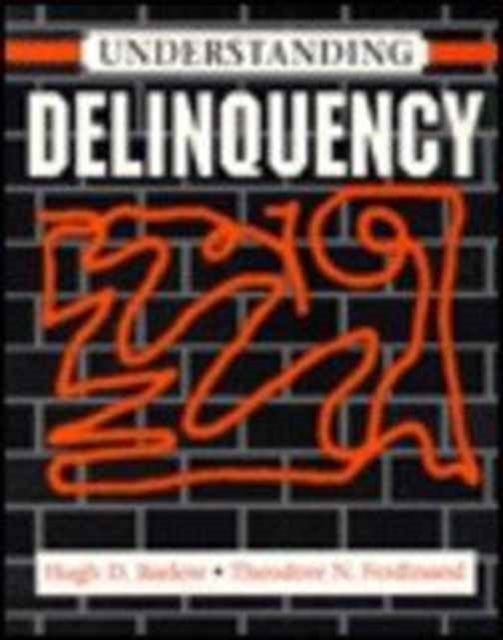Understanding Delinquency, Paperback / softback Book