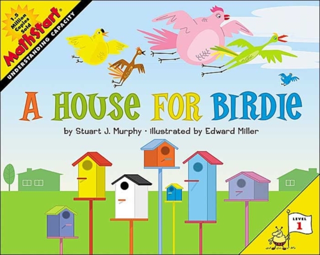 A House for Birdie, Paperback / softback Book