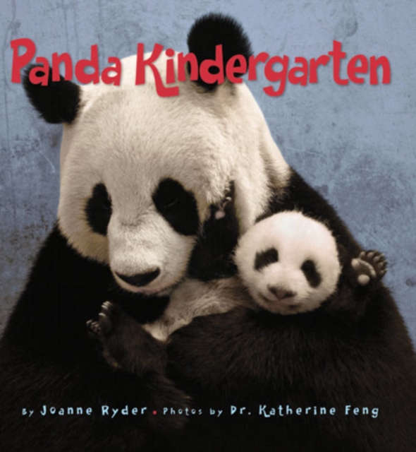 Panda Kindergarten, Paperback / softback Book