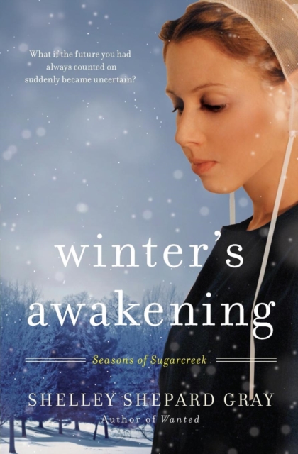 Winter's Awakening, Paperback / softback Book
