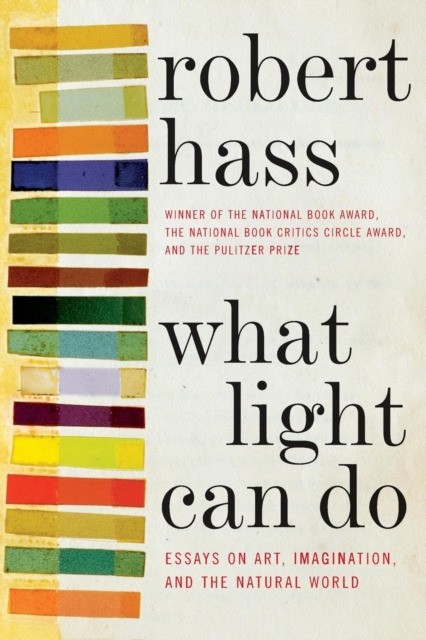 What Light Can Do : Essays on Art, Imagination, and the Natural World, Paperback / softback Book