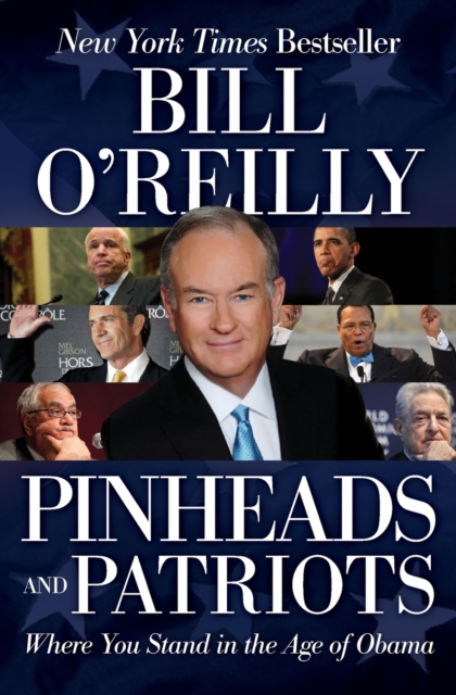 Pinheads and Patriots : Where You Stand in the Age of Obama, Paperback / softback Book