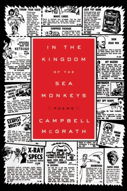 In the Kingdom of the Sea Monkeys, Paperback / softback Book