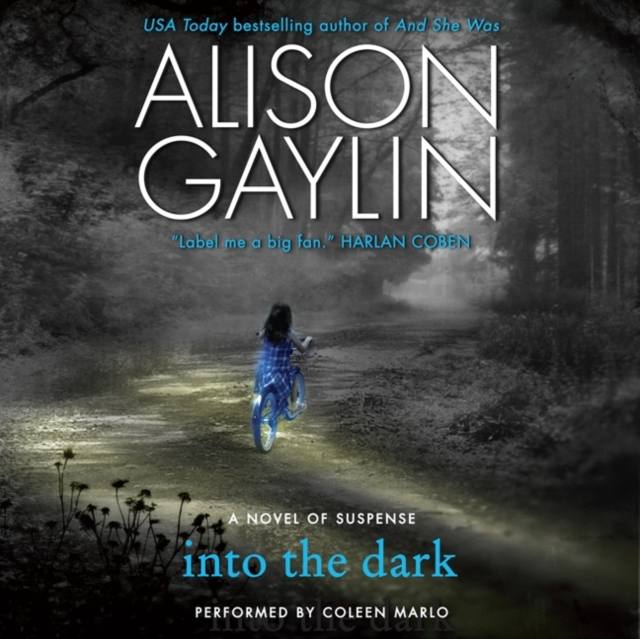 Into the Dark : A Novel of Suspense, eAudiobook MP3 eaudioBook