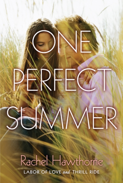 One Perfect Summer : Labor of Love and Thrill Ride, Paperback / softback Book