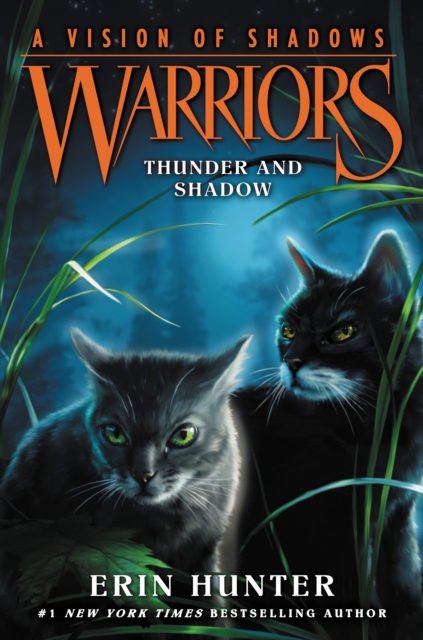 Warriors: A Vision of Shadows #2: Thunder and Shadow, EPUB eBook