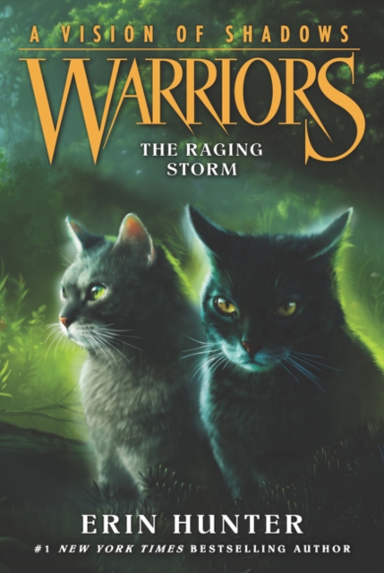 Warriors: A Vision of Shadows #6: The Raging Storm, Paperback / softback Book