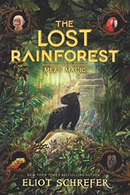 The Lost Rainforest #1: Mez's Magic, Paperback / softback Book