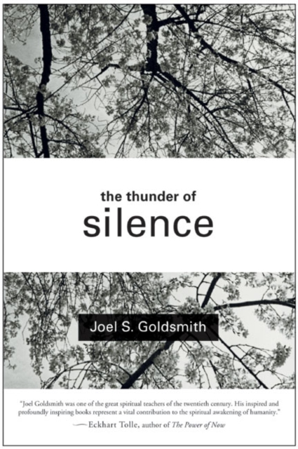 The Thunder of Silence, Paperback / softback Book