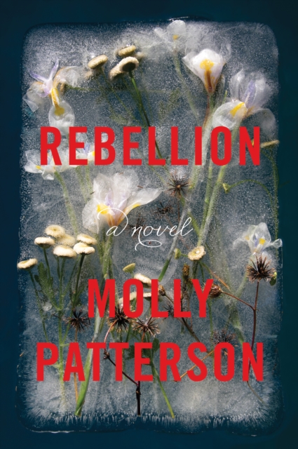 Rebellion : A Novel, EPUB eBook
