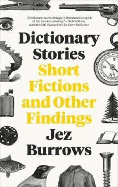Dictionary Stories : Short Fictions and Other Findings, Paperback / softback Book
