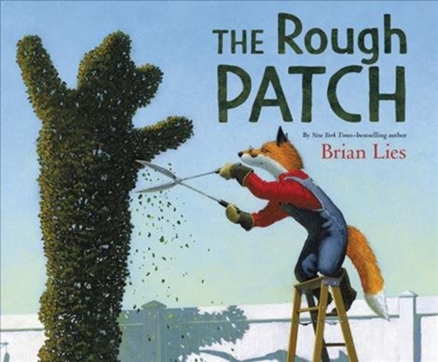 The Rough Patch : A Caldecott Honor Award Winner, Hardback Book