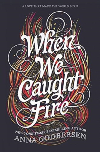 When We Caught Fire, Hardback Book