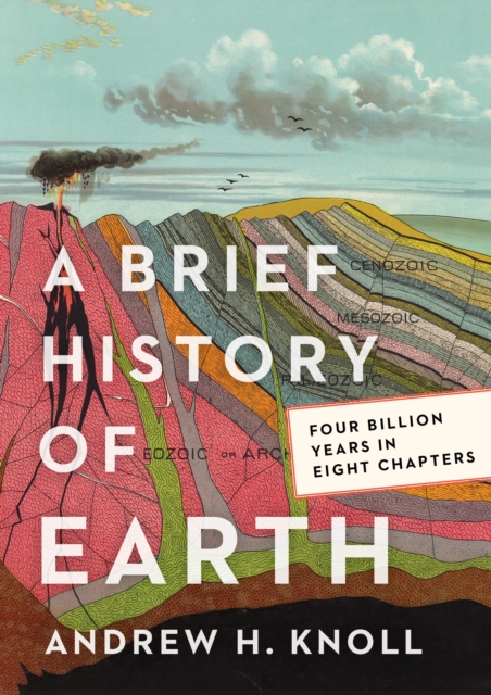 A Brief History of Earth : Four Billion Years in Eight Chapters, Hardback Book