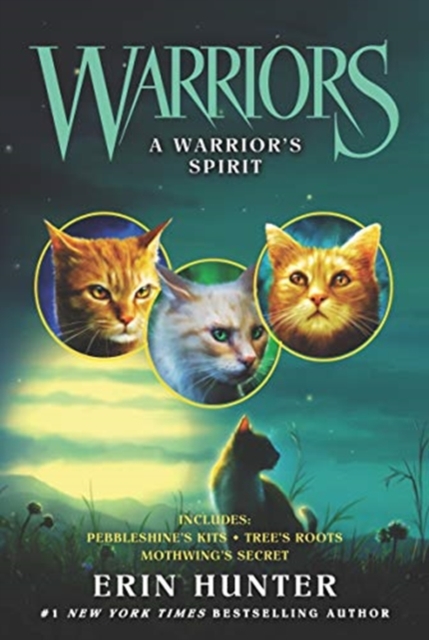 Warriors: A Warrior’s Spirit, Paperback / softback Book