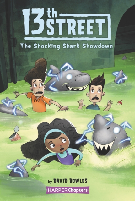13th Street #4: The Shocking Shark Showdown, EPUB eBook