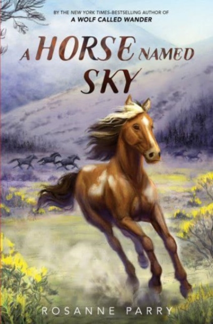 A Horse Named Sky, Hardback Book