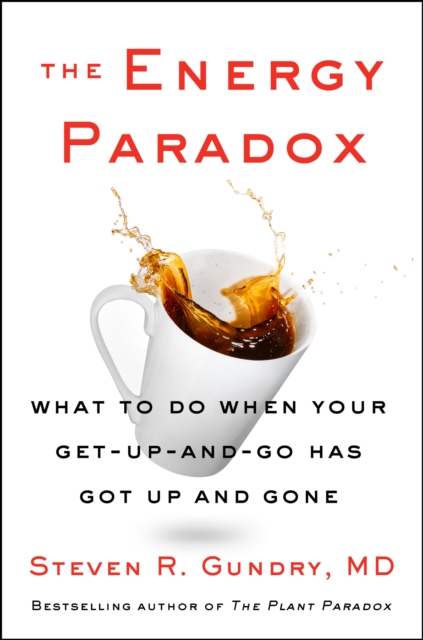 The Energy Paradox : How to Stop Being Sick and Tired and Finally Feel Good Again, EPUB eBook