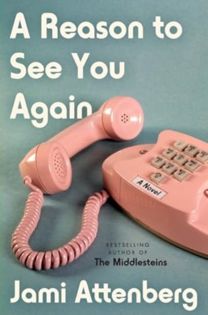 A Reason to See You Again : A Novel, Hardback Book