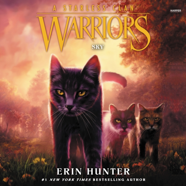 Warriors: A Starless Clan #2: Sky, eAudiobook MP3 eaudioBook