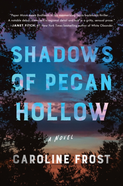 Shadows of Pecan Hollow : A Novel, EPUB eBook