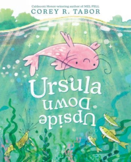 Ursula Upside Down, Hardback Book