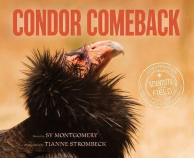 Condor Comeback, Paperback / softback Book