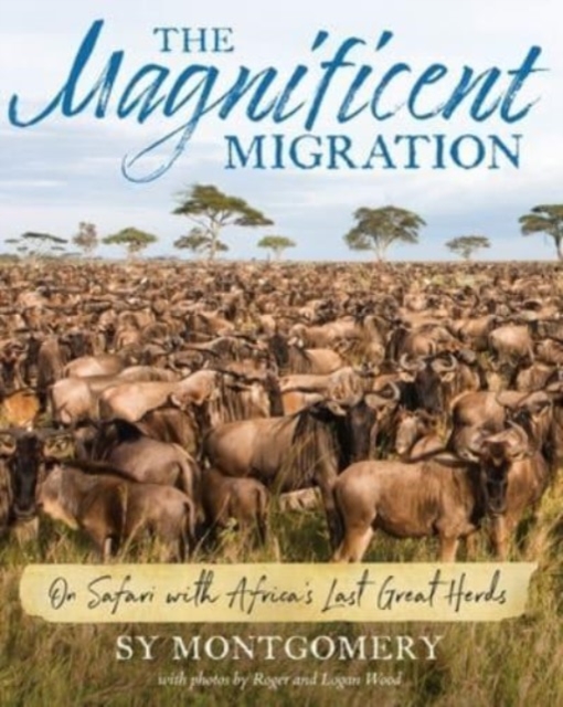 Magnificent Migration : On Safari with Africa's Last Great Herds, Paperback / softback Book