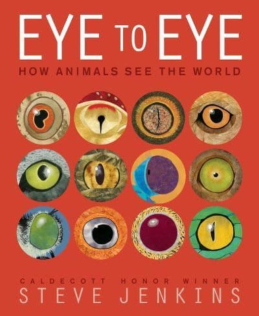 Eye to Eye/How Animals See the World : How Animals See the World, Paperback / softback Book