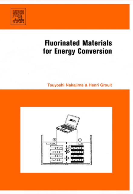 Fluorinated Materials for Energy Conversion, Hardback Book