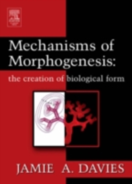 Mechanisms of Morphogenesis, PDF eBook